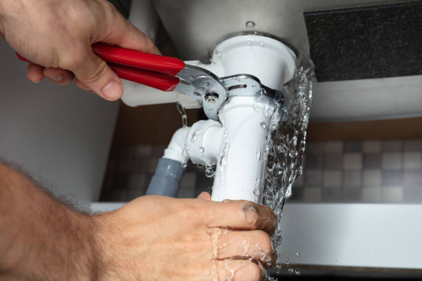 Best Water damage cleanup near me  in Oak Park, CA