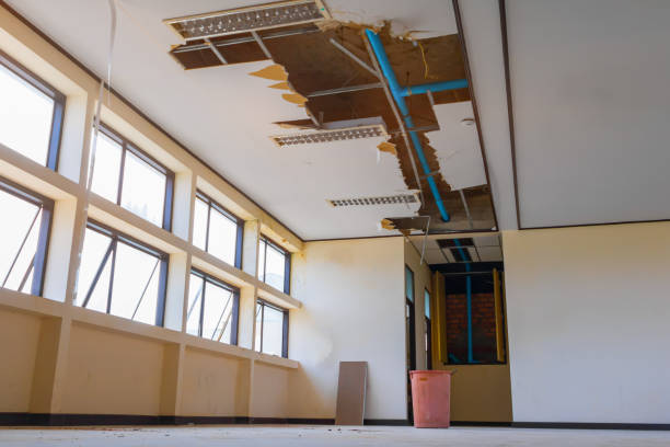Best Basement water damage restoration  in Oak Park, CA