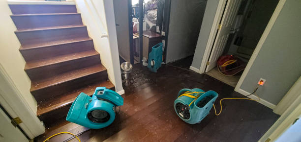 Best Mold removal after water damage  in Oak Park, CA
