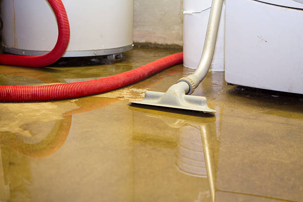 Best Basement water damage restoration  in Oak Park, CA