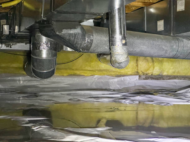 Best Local water damage restoration  in Oak Park, CA